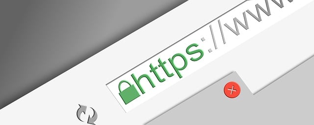 https, site internet, l'internet, sécurité, création de sites web, numérique, moderne, côté, bloguer, chiffrement, navigateur, navigateur web, ssl, le cryptage ssl, https, https, https, https, https, site internet, site internet