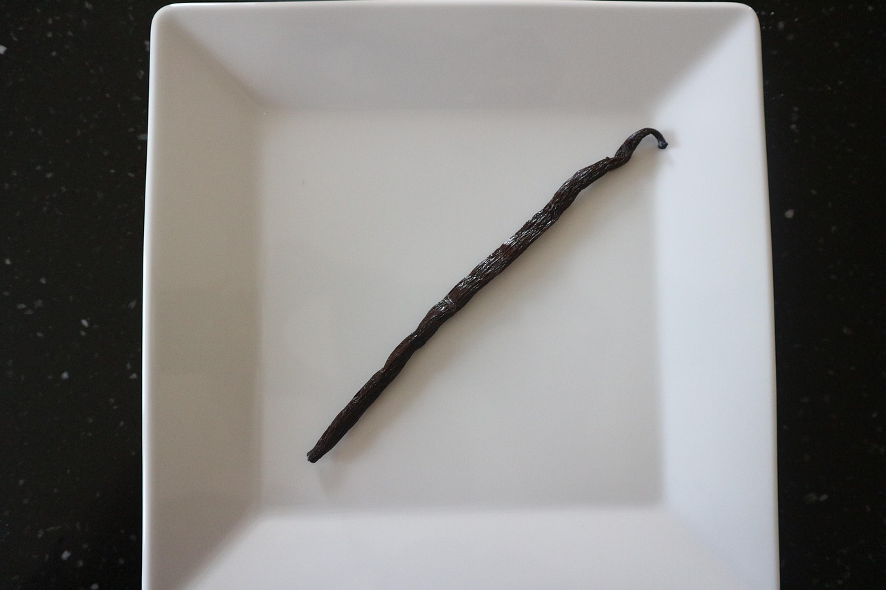 vanille, gousse de vanille, biographie, jouissance, assaisonnement, appétissant, vanille, vanille, vanille, vanille, vanille, gousse de vanille