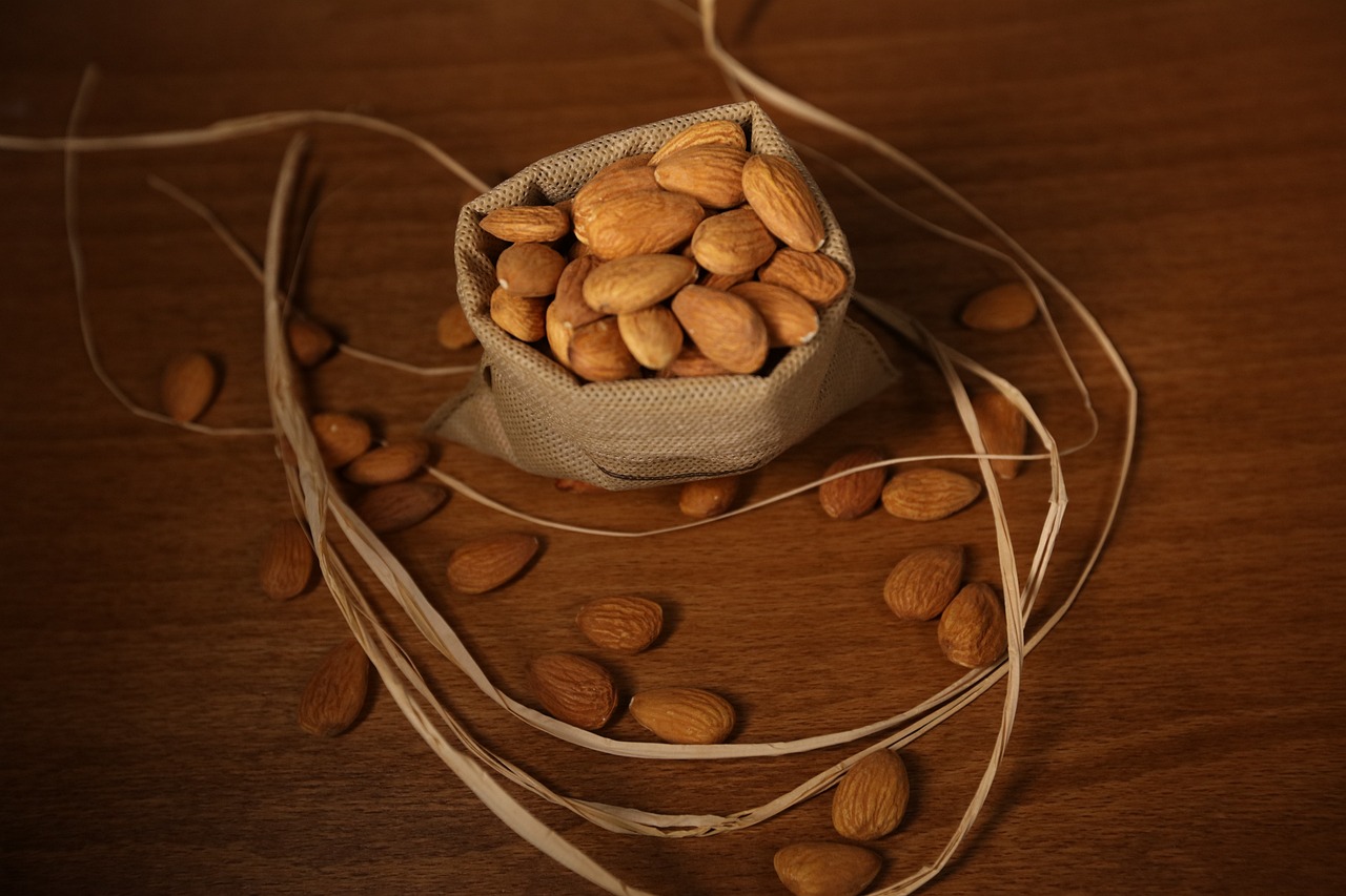 biologique, abricot, noyau