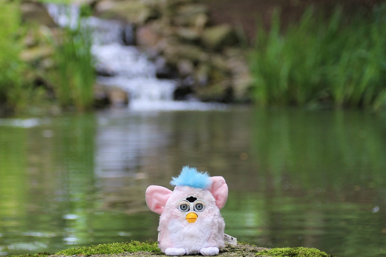furby, chiffre, jouets, poupée