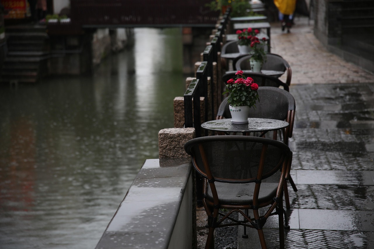 pluie, rue, les tables, café, belles fleurs, nature, fleurs, vider, fond d'écran fleur, canal, flower background, jour de pluie