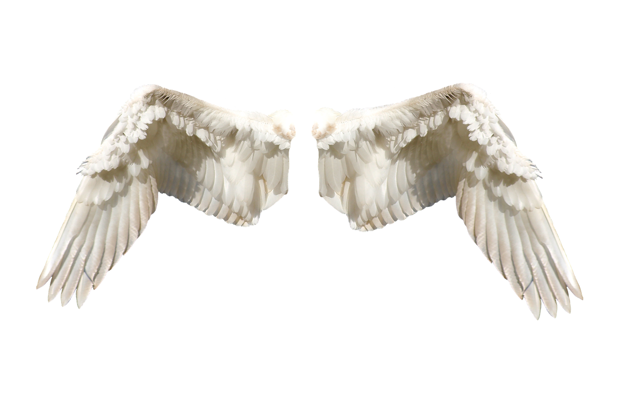 ailes, conte, fée, fantaisie, art, la magie, conte de fée, mythologie, magique, ange, ailes, ange, ange, ange, ange, ange