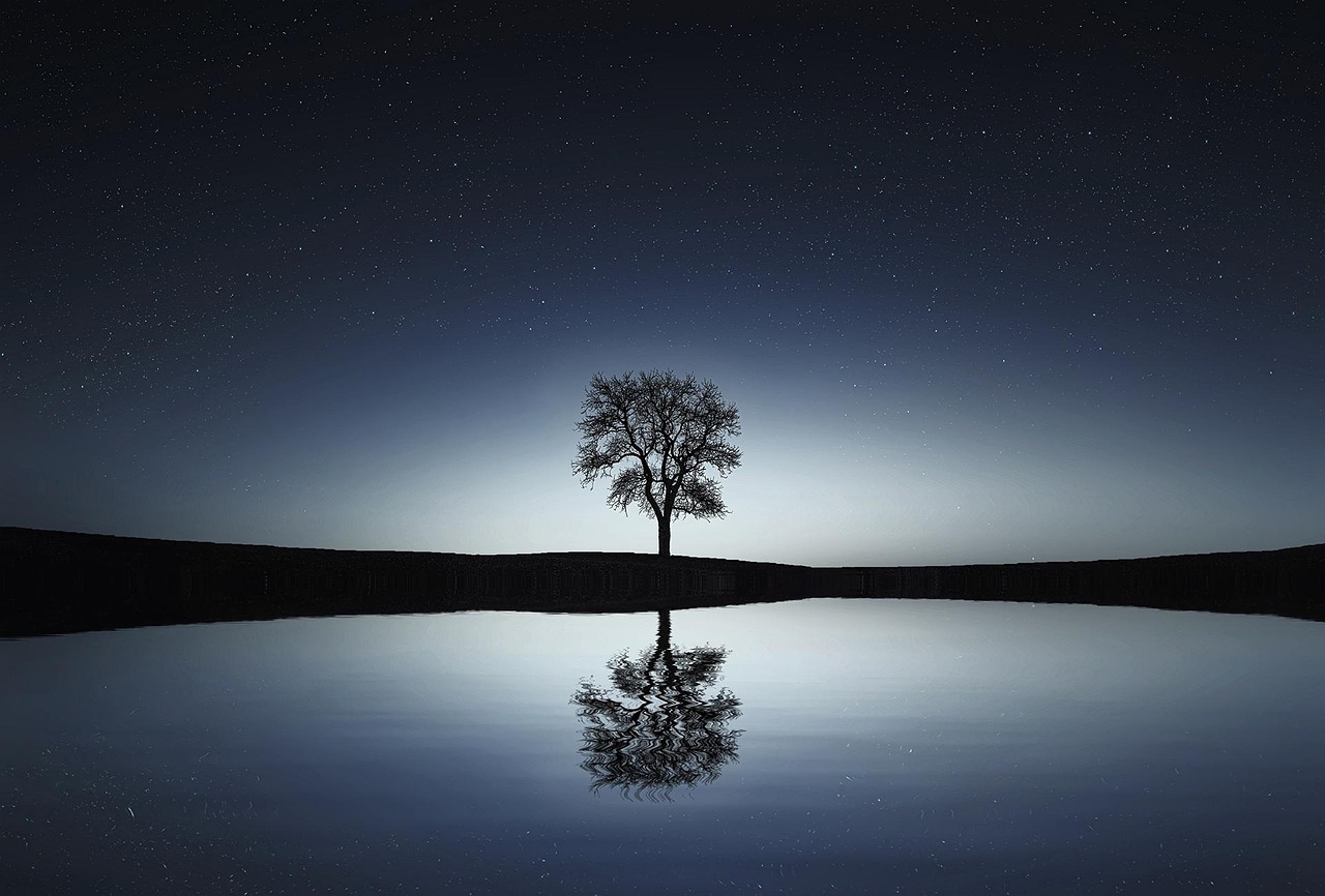 arbre, nature, lac, réflexion, ciel de nuit, silhouette, silhouette de l'arbre, arbre unique, reflet de l'eau, mise en miroir, image miroir, nuit étoilée, ciel étoilé, eau calme, étoiles