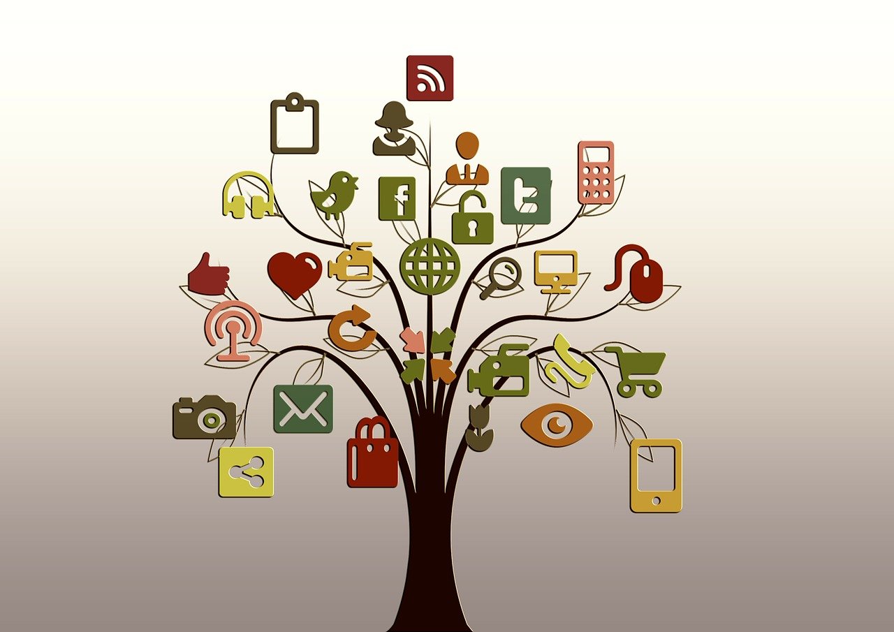 arbre, nature, structure, réseaux, l'internet, réseau, social, tic tac, réseau social, logo, facebook, google, réseaux sociaux, la mise en réseau, des médias sociaux, icône, site web, présentation, multimédia