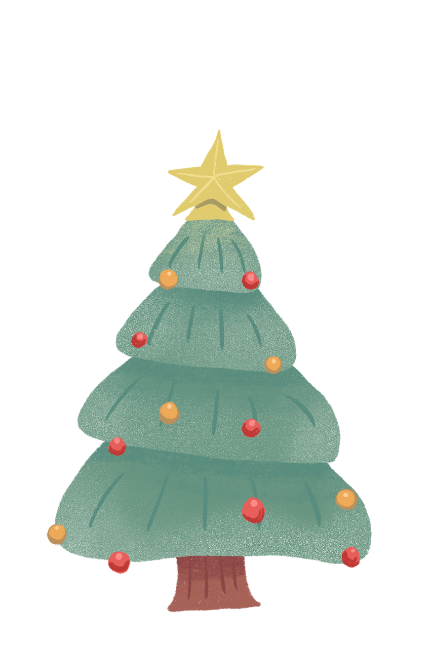 arbre, sapin de noël, noël, décoration, décoration de noël, star, neige, nature, hiver, décembre, vacance, joyeux noel