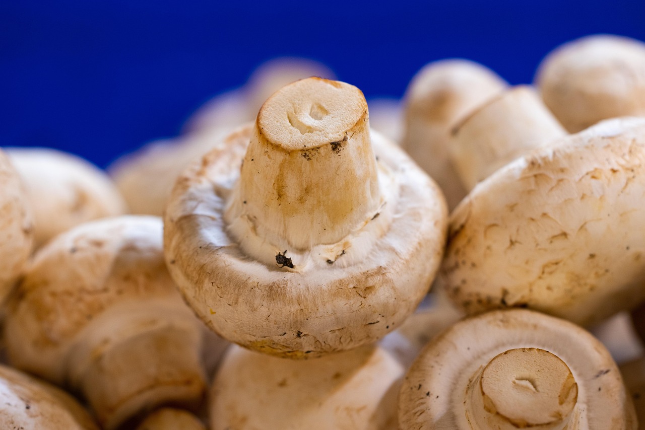 champignons, champignons de paris, des légumes, champignons frais, marché