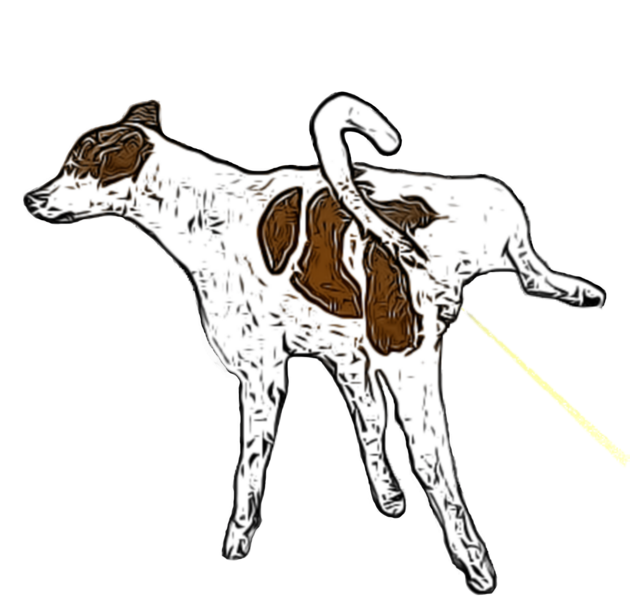 chien, animal de compagnie, pipi, nature, faire pipi, animal, chien domestique, canin, mammifère, découper