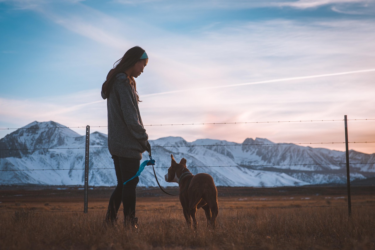chien, fille, clôture, animal de compagnie, propriétaire, un compagnon, nature, ami, relation amicale, sur le terrain, paysage, montagne, en plein air, femme, animal, jeune femme, promener le chien, laisse, laisse chien