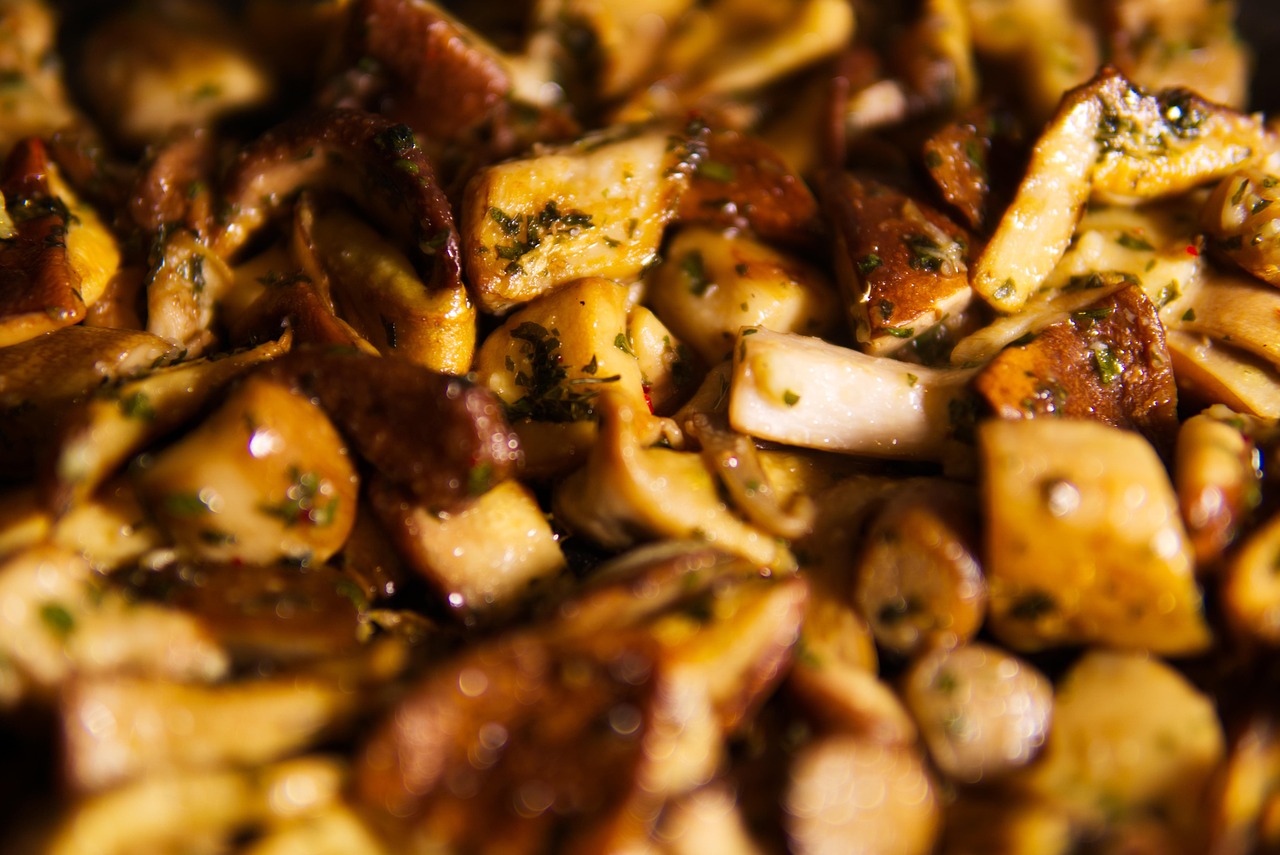 cuisine, cuisine de champignons, cuisine de cèpes, plat cuisiné, poêlés de cèpes, bolets, cèpes, champignons, comestible, champignon, cueillette, automne