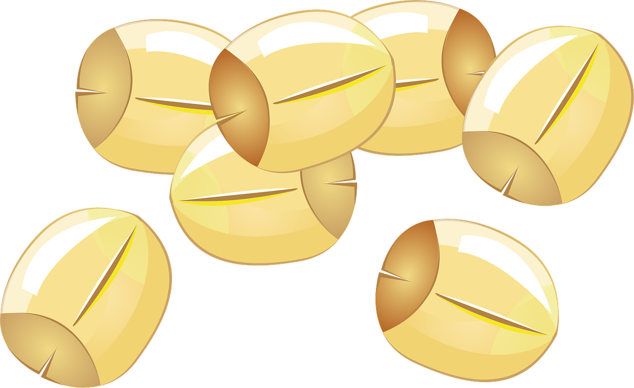 graines de lotus, des graines, naturel, des graines, des graines, des graines, des graines, des graines