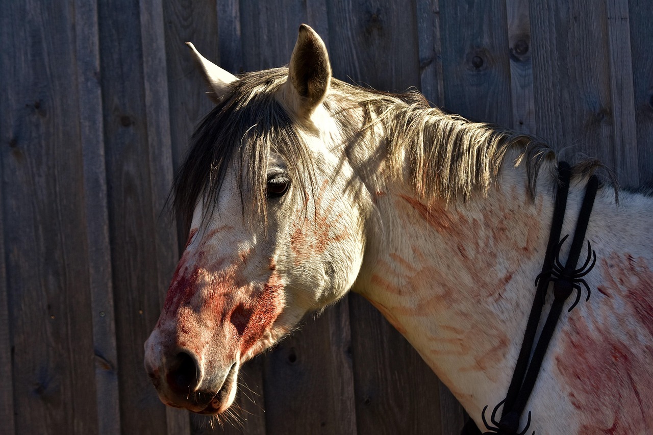 halloween, sanglant, faux sang, horrible, cheval, poney, mouler, nature, maculé de sang, halloween-shooting