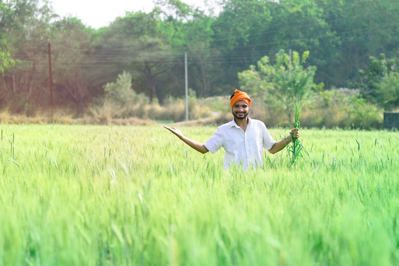 homme, agriculture, fermier, agricole, masculin, cultiver, men at work, rural, sur le terrain, croissance, recadrer, indien