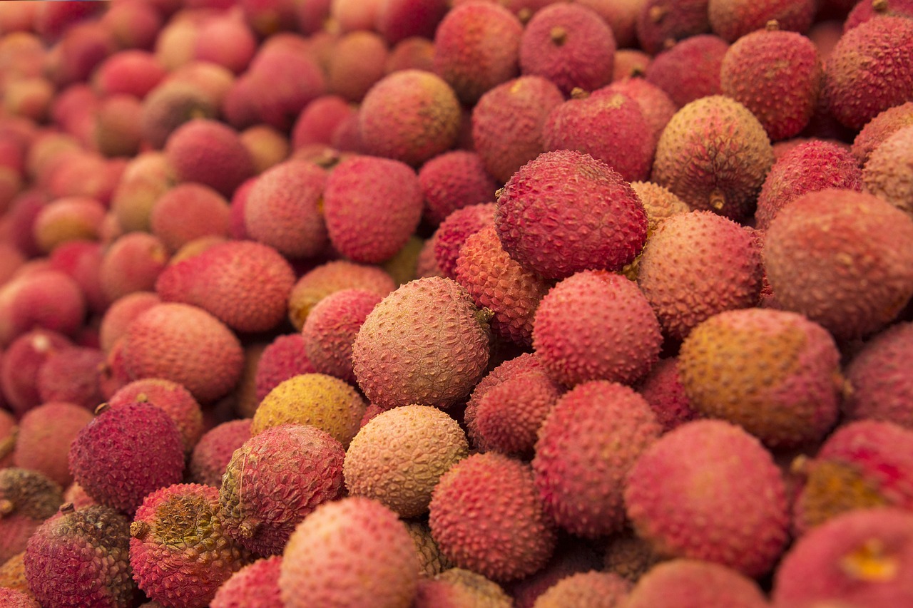 litchis, des fruits, aliments, en bonne santé, tropical, marché, récolter, frais, produire, biologique, vitamines, litchis, litchis, litchis, litchis, litchis