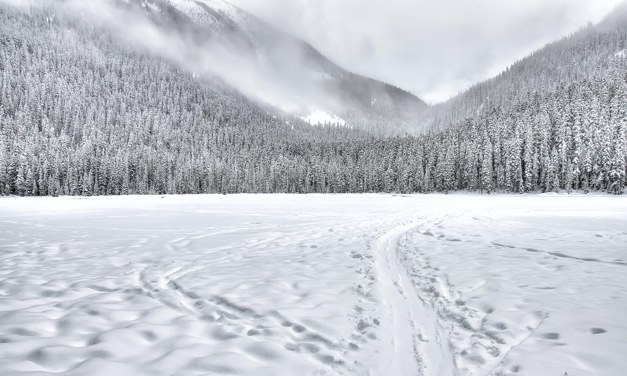 nettoyer, des nuages, nuageux, du froid, forêt, geler, gel, glacial, gelé, la glace, lac, paysage, sentier, paisible, pin, route, nature, rural, scène, scénique, silence, facile, ski