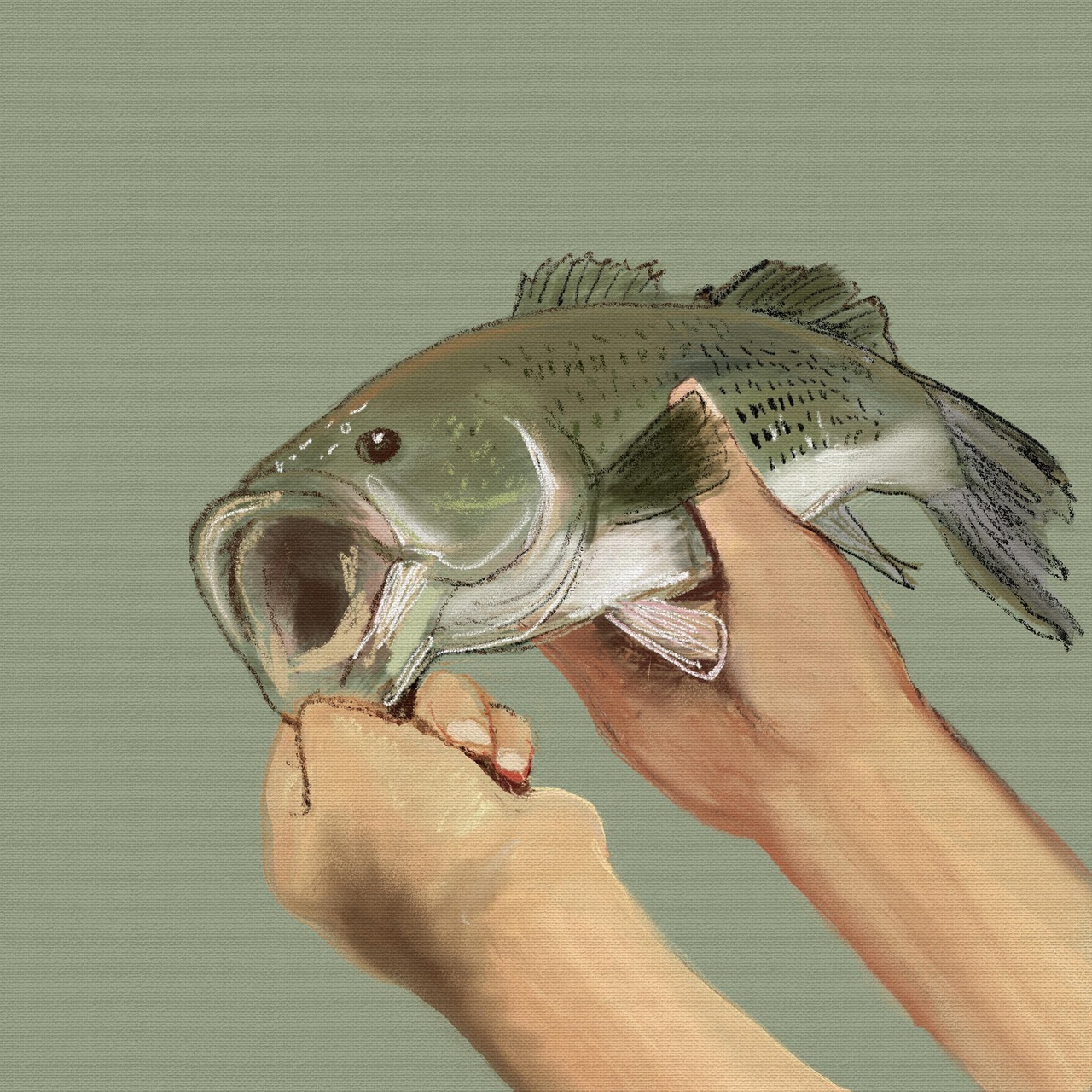 poisson, capturer, prise de poisson, mains, nature, bouche ouverte, trouver un poisson, mer, vie marine, marin, faire de la pêche, pêcheur, contexte