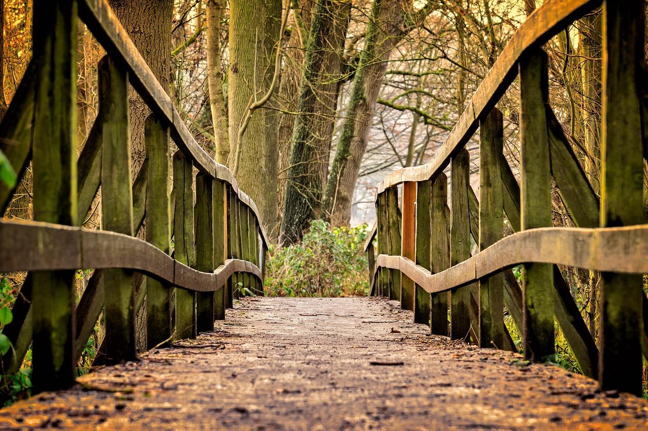 pont, chemin, parc, pont de bois, piste, passerelle pour piétons, balustrade, bois, des arbres, forêt, nature, pont, pont, pont, pont, pont, chemin, bois