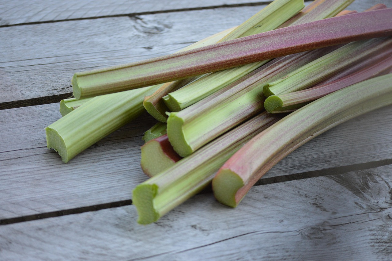 rhubarbe, homeproduce, nourriture fraîche, rhubarbe, rhubarbe, rhubarbe, rhubarbe, rhubarbe