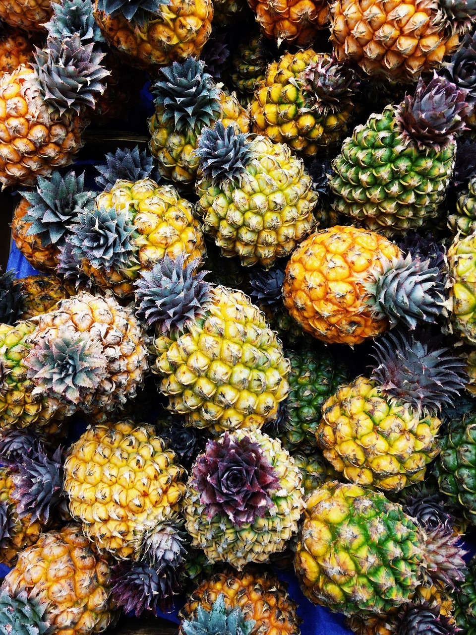 un ananas, italie, vacances, un ananas, un ananas, un ananas, un ananas, un ananas