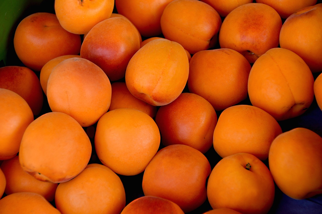 abricots, des fruits, aliments, frais, en bonne santé, mûr, biologique, sucré, produire, récolter, délicieux, les fruits à noyau, vitamines, abricots, abricots, abricots, abricots, abricots