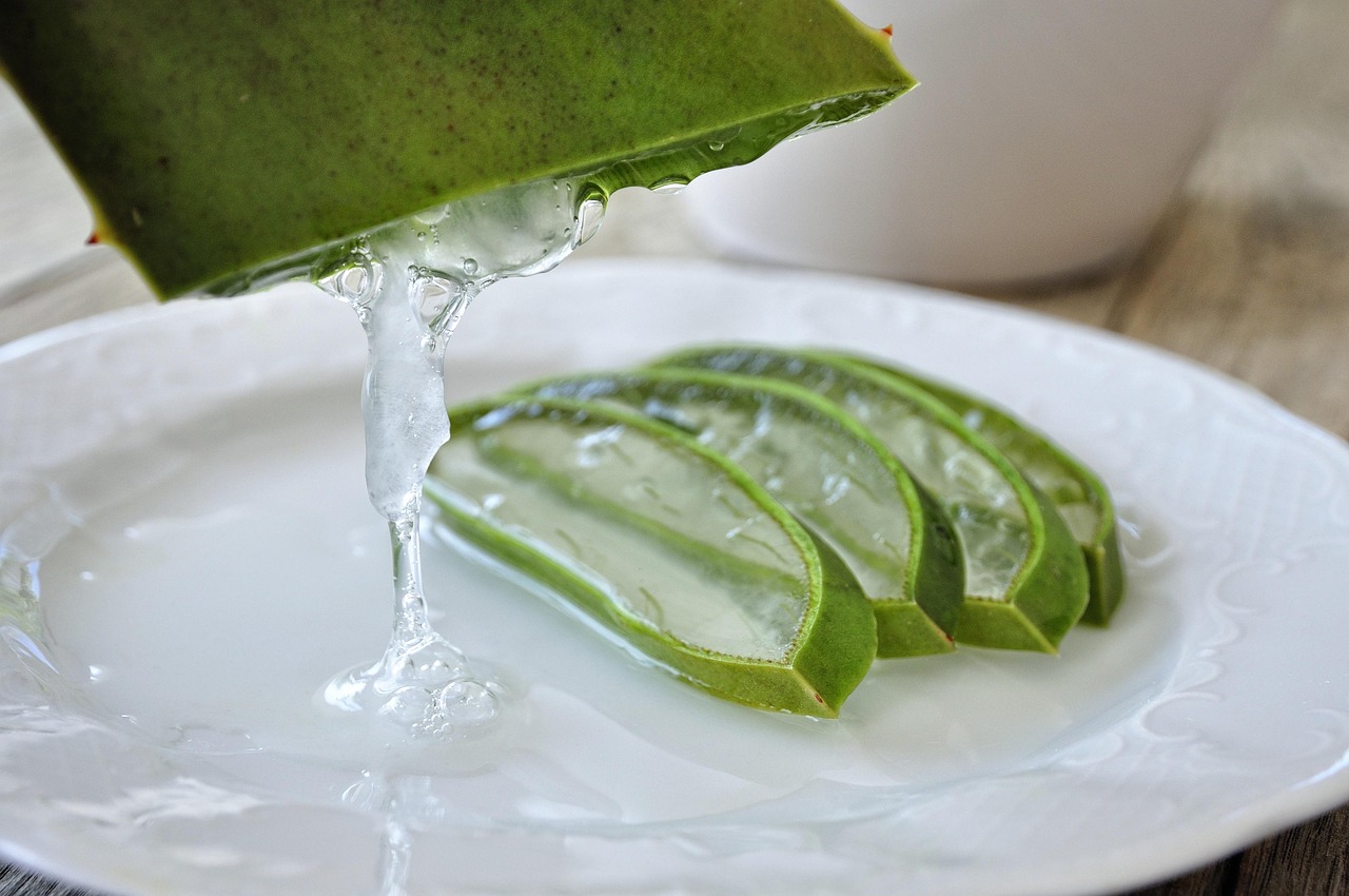 aloès, aloe vera, gel d'aloès, gel d'aloe vera, aloe vera santé, boisson à l'aloe vera, santé, vert, aloe vera, aloe vera, aloe vera, aloe vera, aloe vera