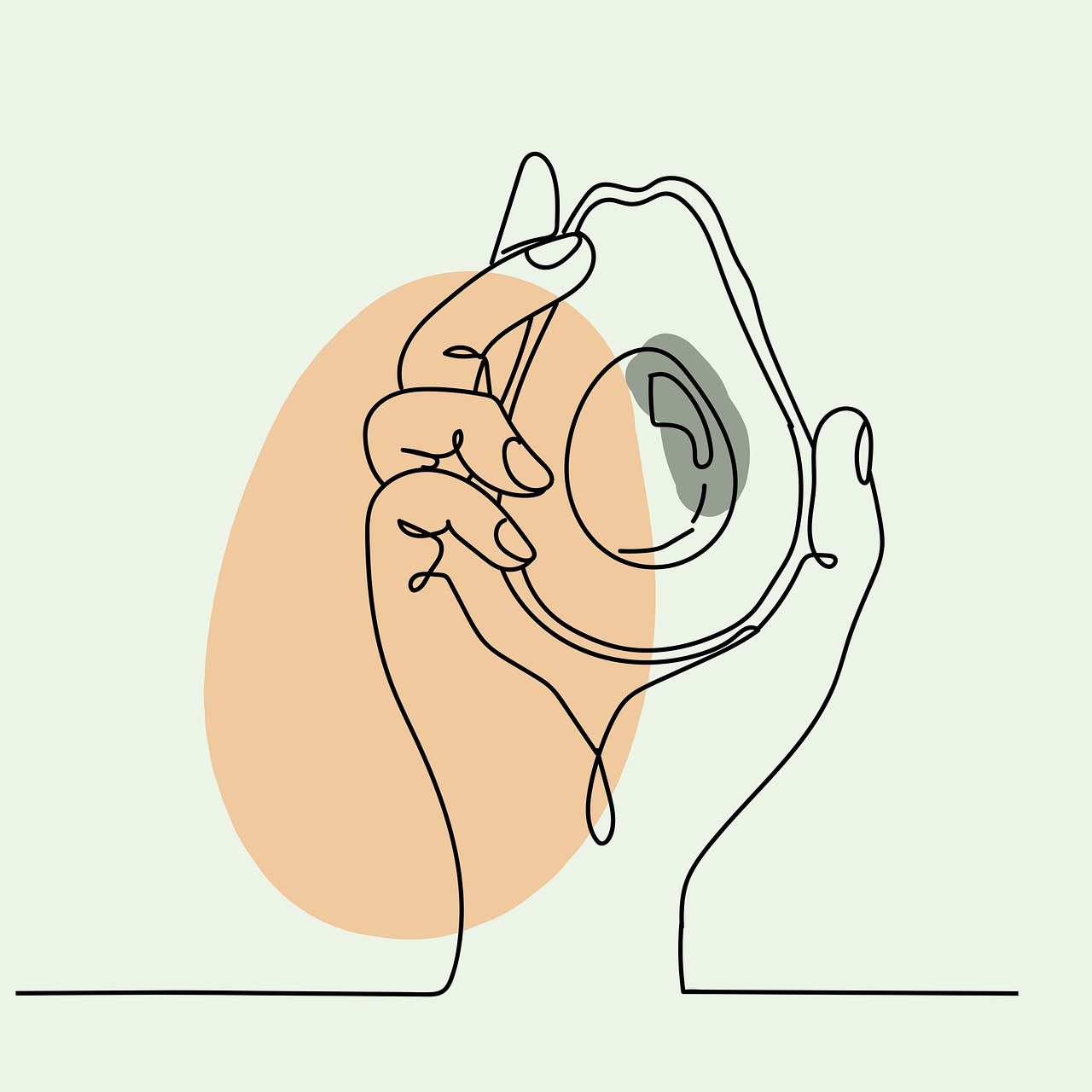 avocat, fruits, avocats, en bonne santé, biologique, manger, légumes, bloc d'alimentation, végétarien, végétalien, bohème, bohémien, dessin au trait, fond, dessin, fosse, main