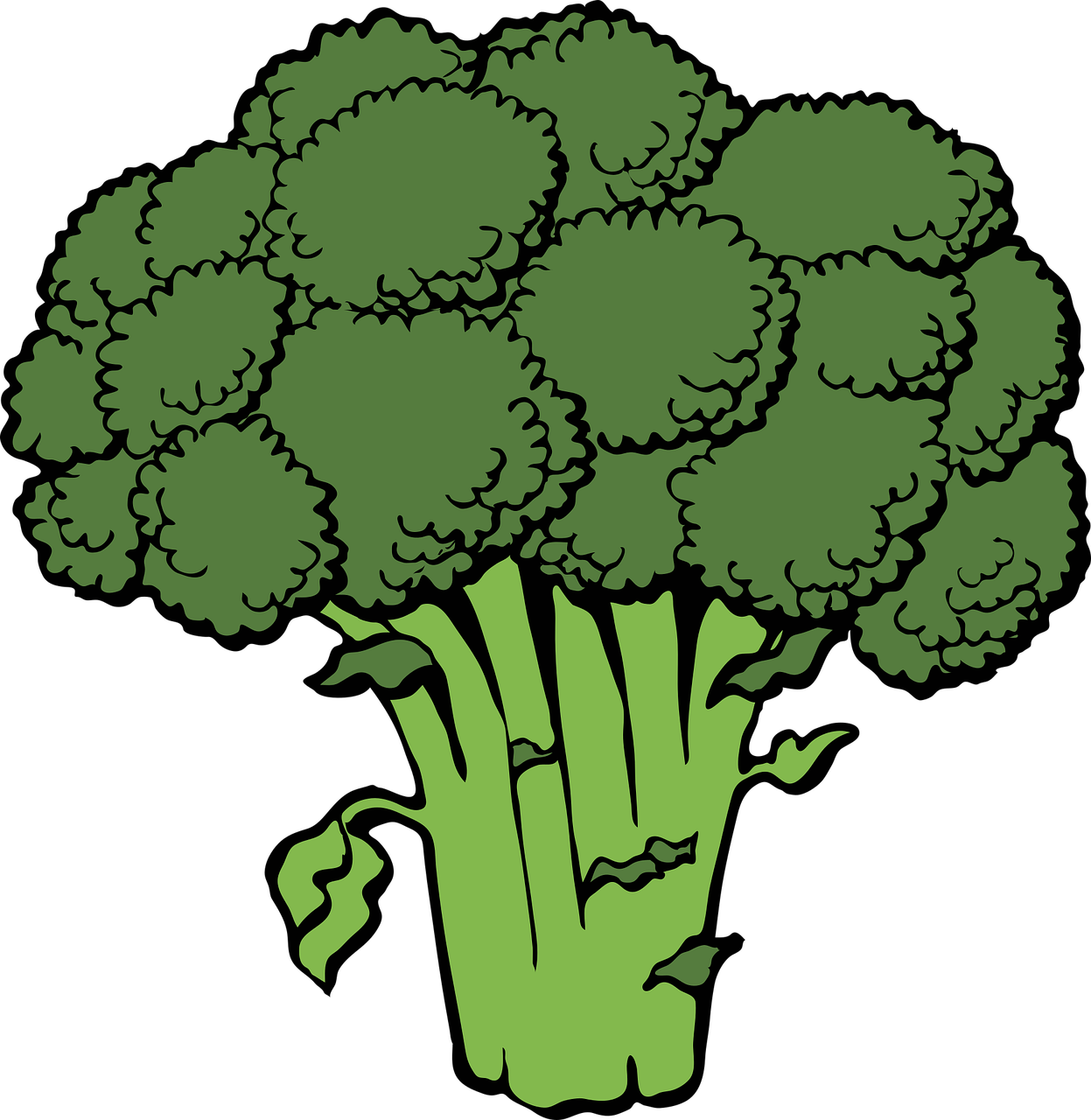 brocoli, groupe, diriger, vert, crucifères, légume, icône, icône de brocoli, en bonne santé, frais, cru, aliments, végétarien, nutritif, légume vert, dessin numérique, découper, brocoli, brocoli, brocoli, brocoli, brocoli