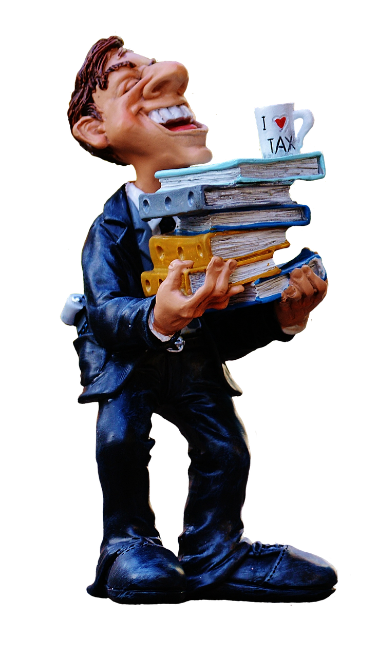 consultant fiscal, la finance, bureau des impôts, finances, de campagne, déclaration d'impôt sur le revenu, des dossiers, déclaration d'impôt, argent, taxes, amusement, drôle