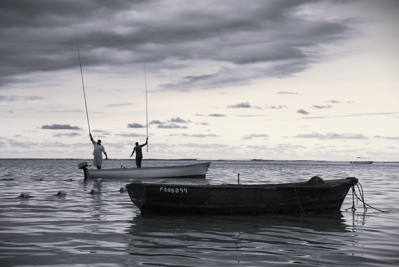 faire de la pêche, mer, nature, bateaux, noir et blanc, canoë
