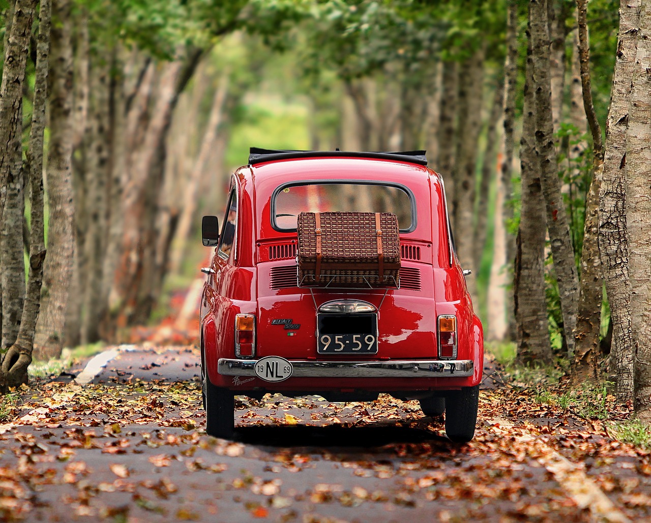 fiat 500, voiture, des arbres, fonds d'écran de voiture, voiture antique, véhicule, classique, italie, nostalgie, auto, petite voiture, véhicule à moteur, nature, rue, route, chemin