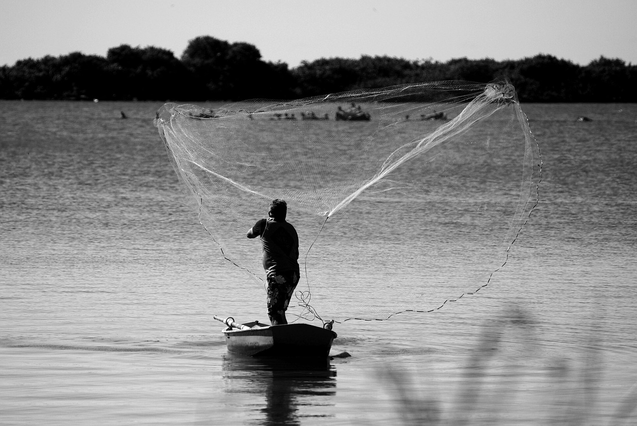 homme, pêcheur, pêcherie, bateau, mer, réseau, moyens de subsistance, monochrome, noir et blanc, gris, nature, grise, l'eau, faire de la pêche, filet de pêche