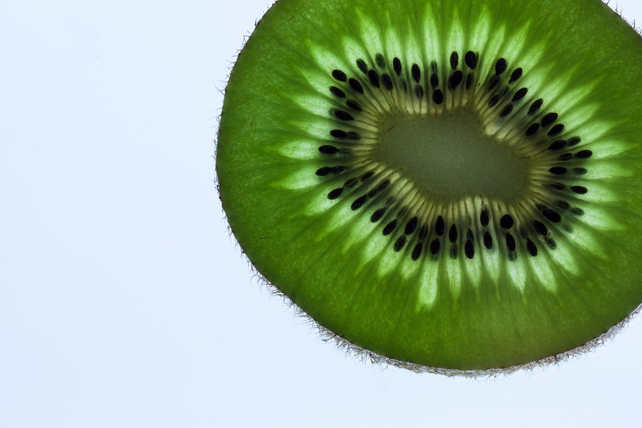 kiwi, fruit, vert, frais, lumière transmise, macro, mûr, coupe transversale, kiwi moitié, fermer, graines de kiwi, kiwi, kiwi, kiwi, kiwi, kiwi