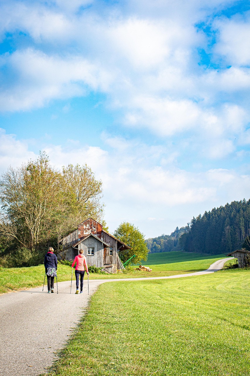 la marche nordique, des sports, aptitude, formation, en plein air, exercer, parc, activité physique