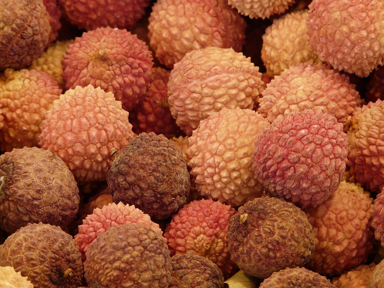 litchi, fruits litchi chinensis, litsch, noisette chinoise, prune litchi, aimer les fruits, fruit, marché, orange, rouge, brun