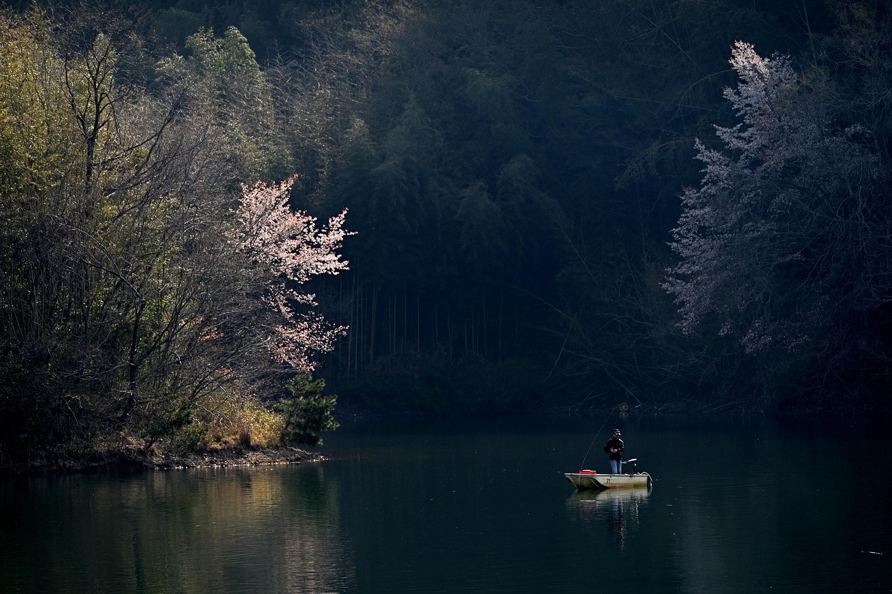 étang, faire de la pêche, fleurs de cerisier, l'eau, paysage, nature, bateau, en plein air