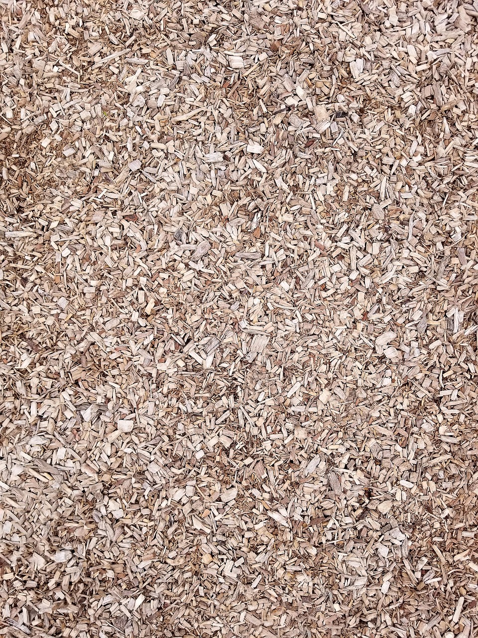 texture, copeaux de bois, bois, paillis, frites, matériel, en bois, modèle, bois de charpente, ébrécher, surface, copeaux, sol, naturel