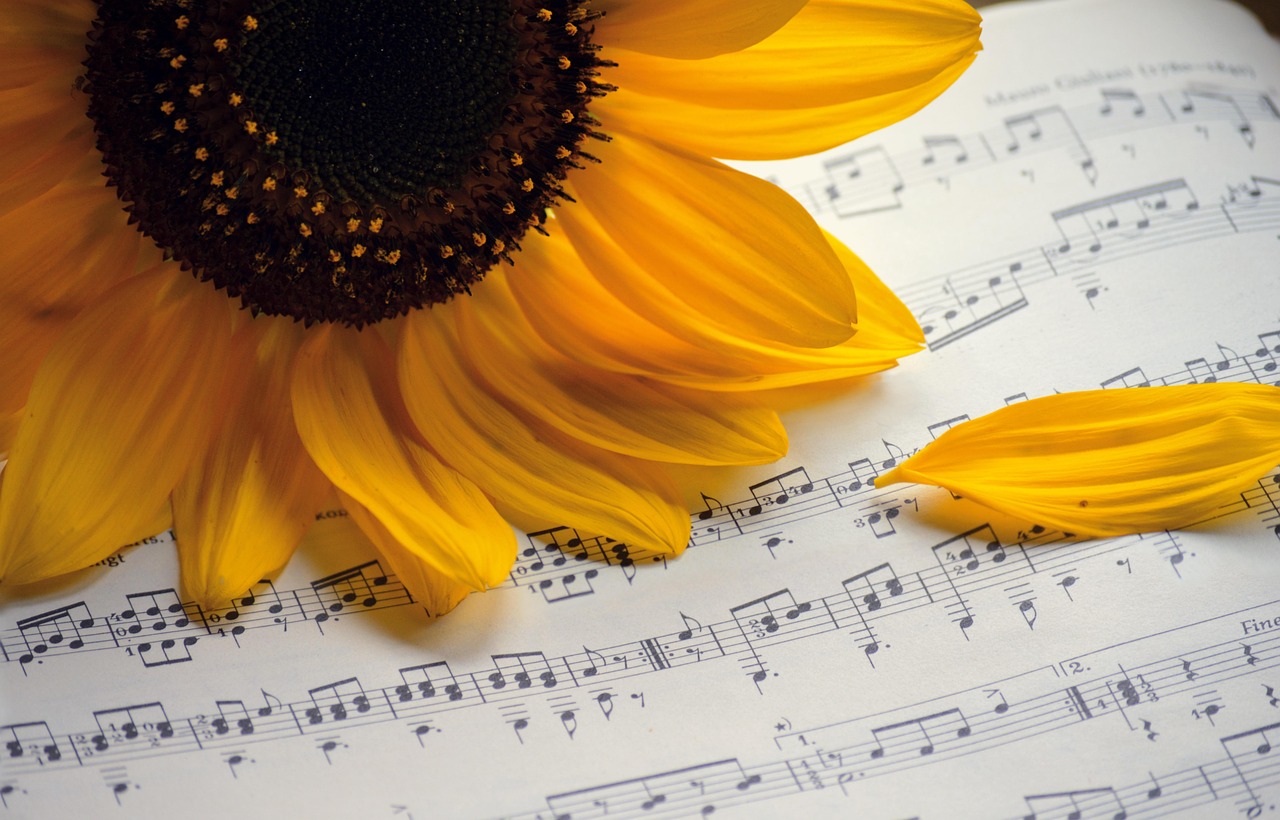 tournesol, chansons d'été, chorale, partition de musique, concert d'été, chansons d'automne, la musique, chansons, concert, chanter, noteblatt, chanson d'anniversaire, carnet de notes des enseignants, notes, faire de la musique, pétales, chorale, chorale, chorale, chorale, chorale, chansons, chanter