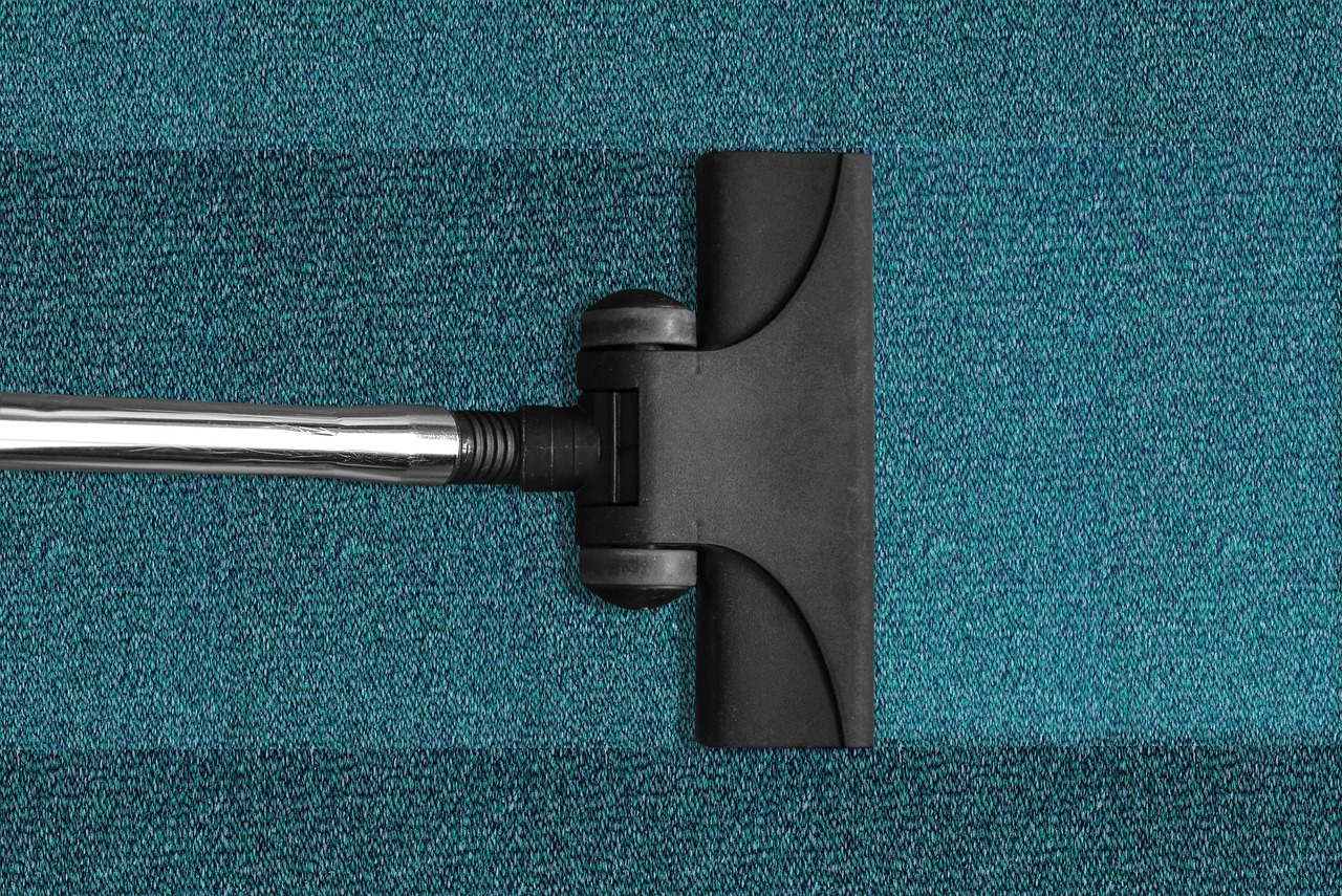 aspirateur, passe l'aspirateur, nettoyage, nettoyer, tapis, moquette, vide, propreté, équipement de nettoyage, aspirateur, aspirateur, aspirateur, nettoyage, nettoyage, nettoyage, nettoyage, nettoyage, tapis, moquette