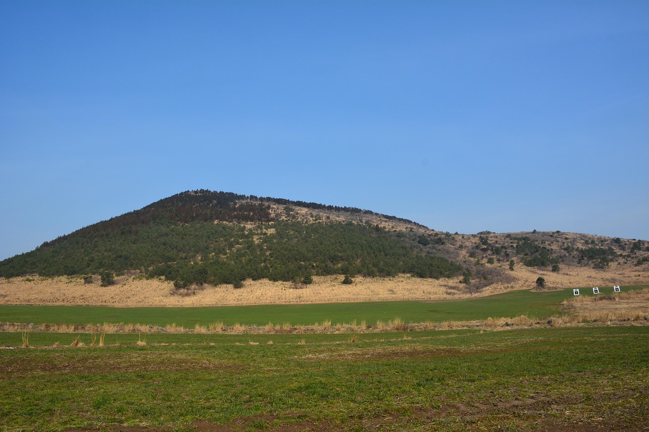 augmenter, moose cet été, île de jeju, avec notre, randonnée, alpinisme, seogwipo-si