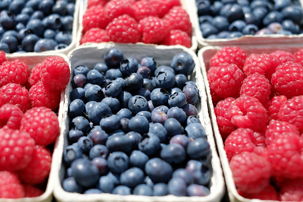 baies, myrtilles, framboises, des fruits, marché, marché fermier, stand de fruits, produire, récolter, biologique, frais, baies fraîches, bleuets frais, framboises fraîches, mûr, baies mûres, myrtilles mûres, framboises mûres, marché, marché, marché, marché, marché