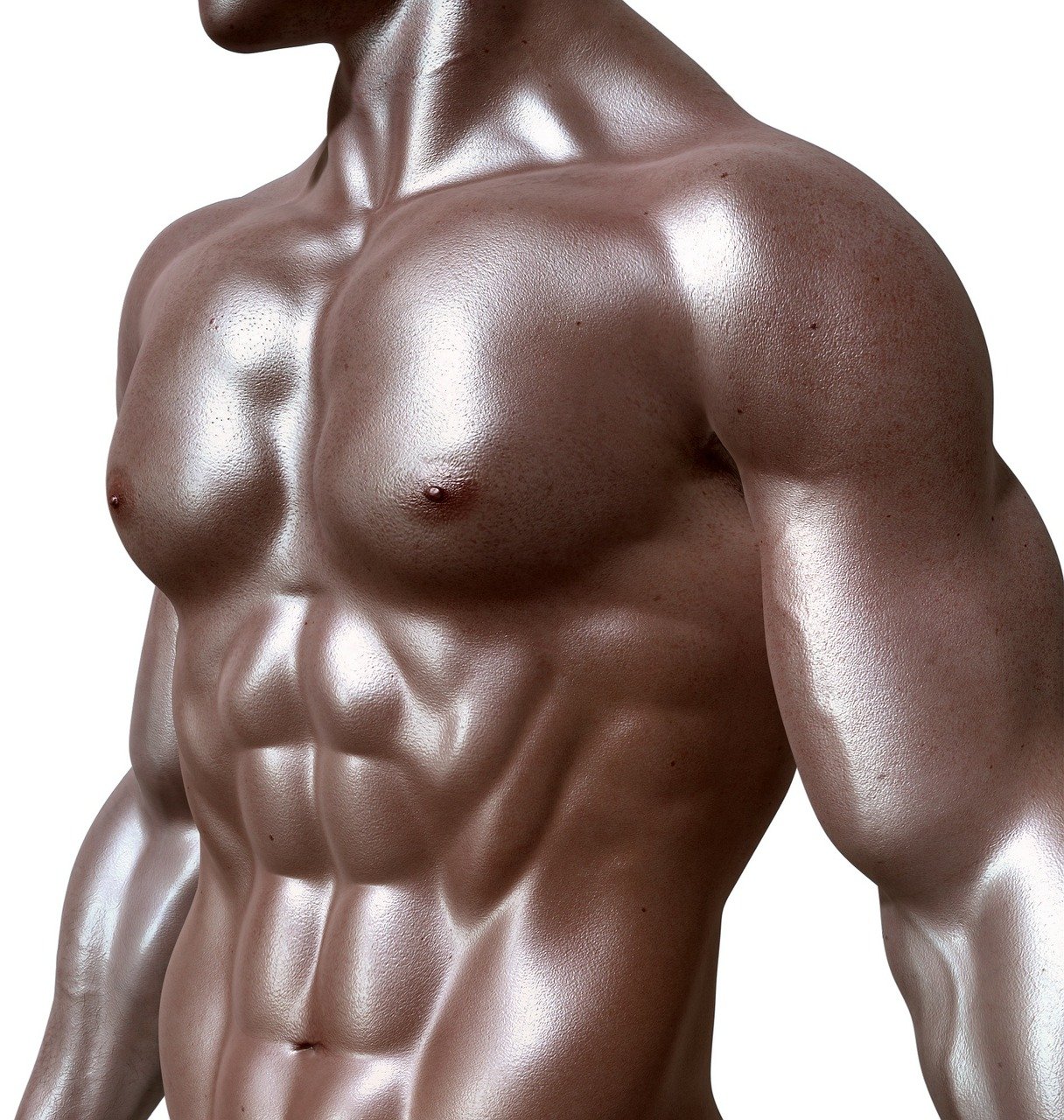 bodybuilder, pack de six, muscles, abdos, aptitude, santé, musclé, homme, humain, corps, torse, huilé, entraînement, isolé, brown, bronzer, tonique, buff, bodybuilder, homme, homme, homme, humain, humain, humain, humain, humain, torse