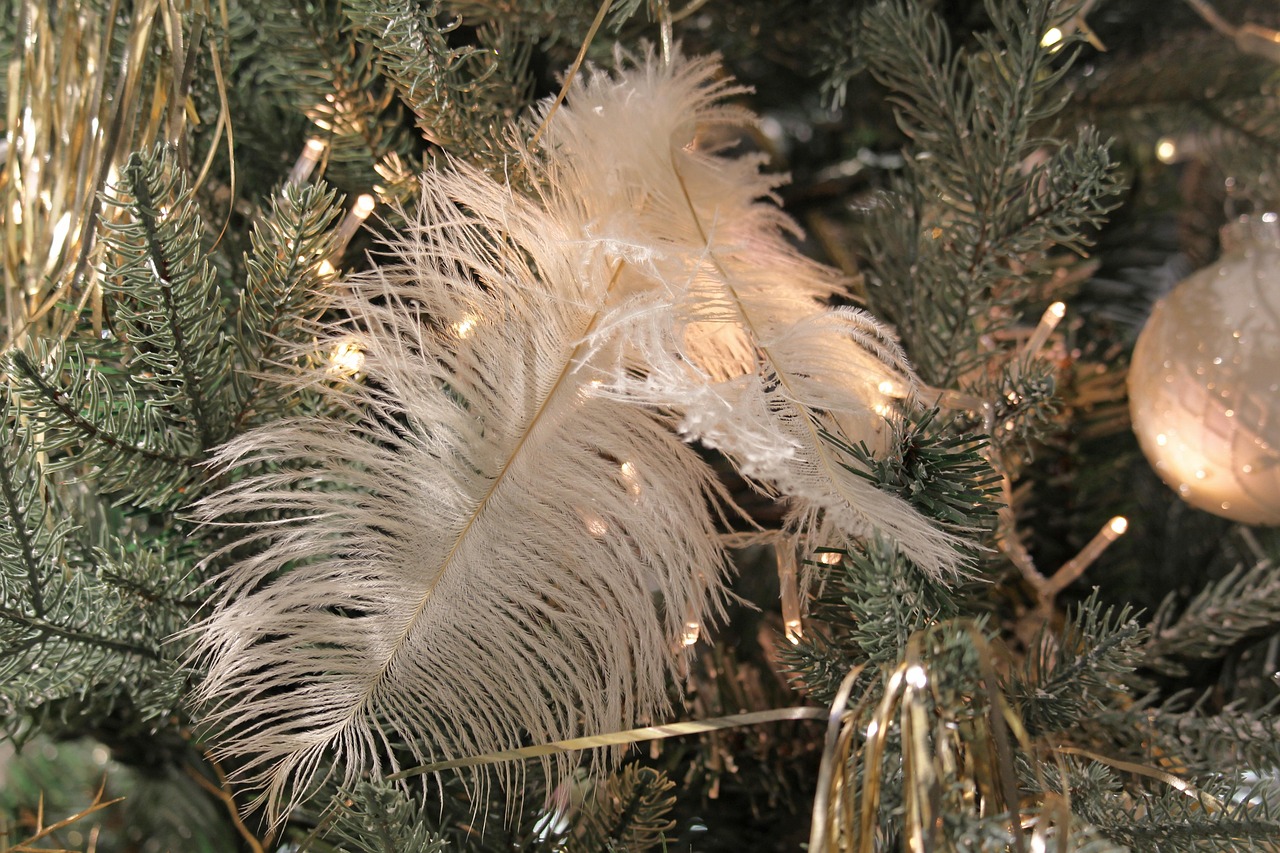 boules de noël, noël, décoration, avènement, décorations pour arbres, décoration de noël, décorations de noël, des balles, voeux de noël, scintillait, déco, bijoux de printemps, la plume, joyeux noel, noël, noël, noël, noël, noël, joyeux noel, joyeux noel, joyeux noel, joyeux noel