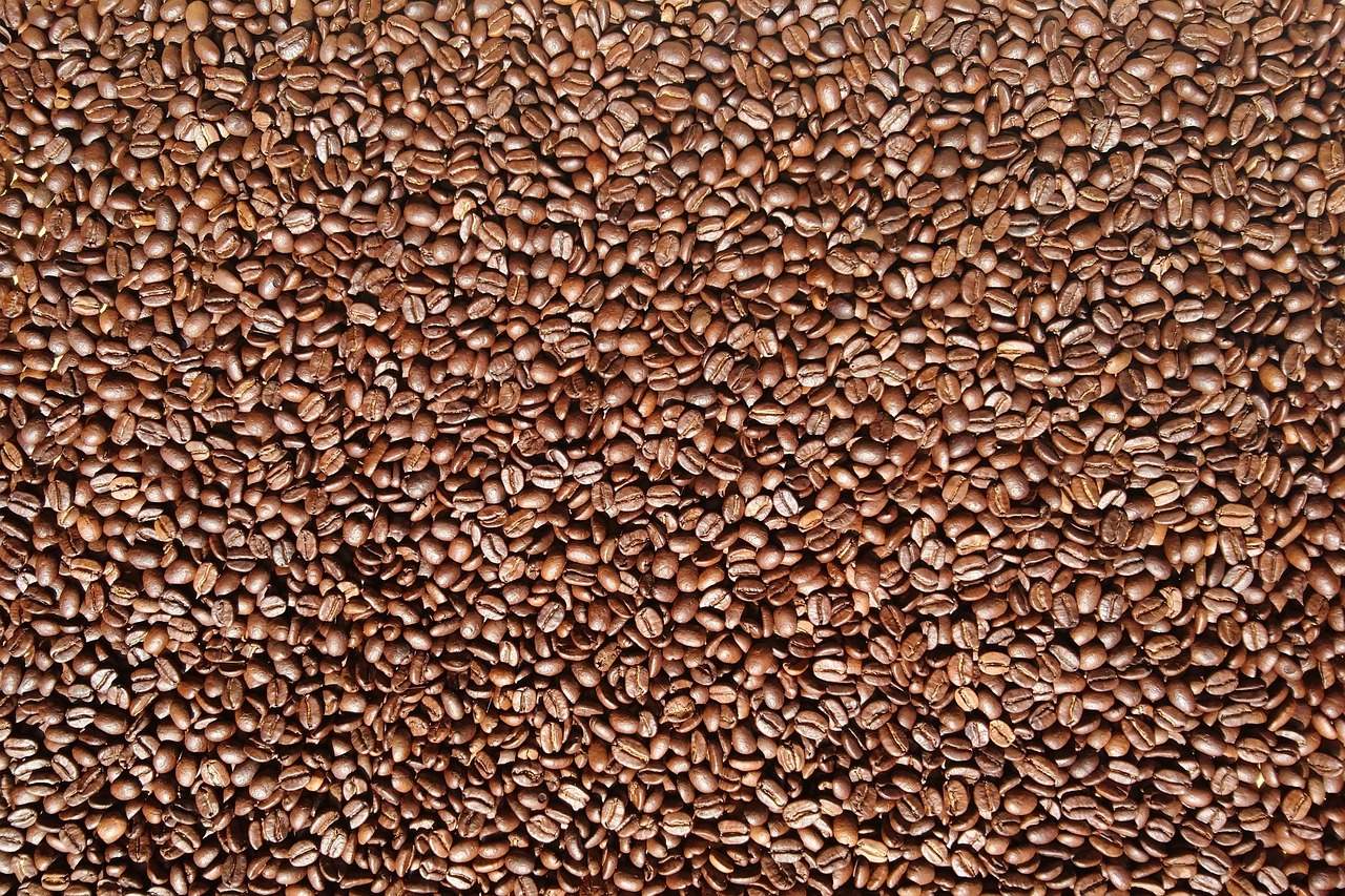 café, beans, roastery, brun, arôme, caféine