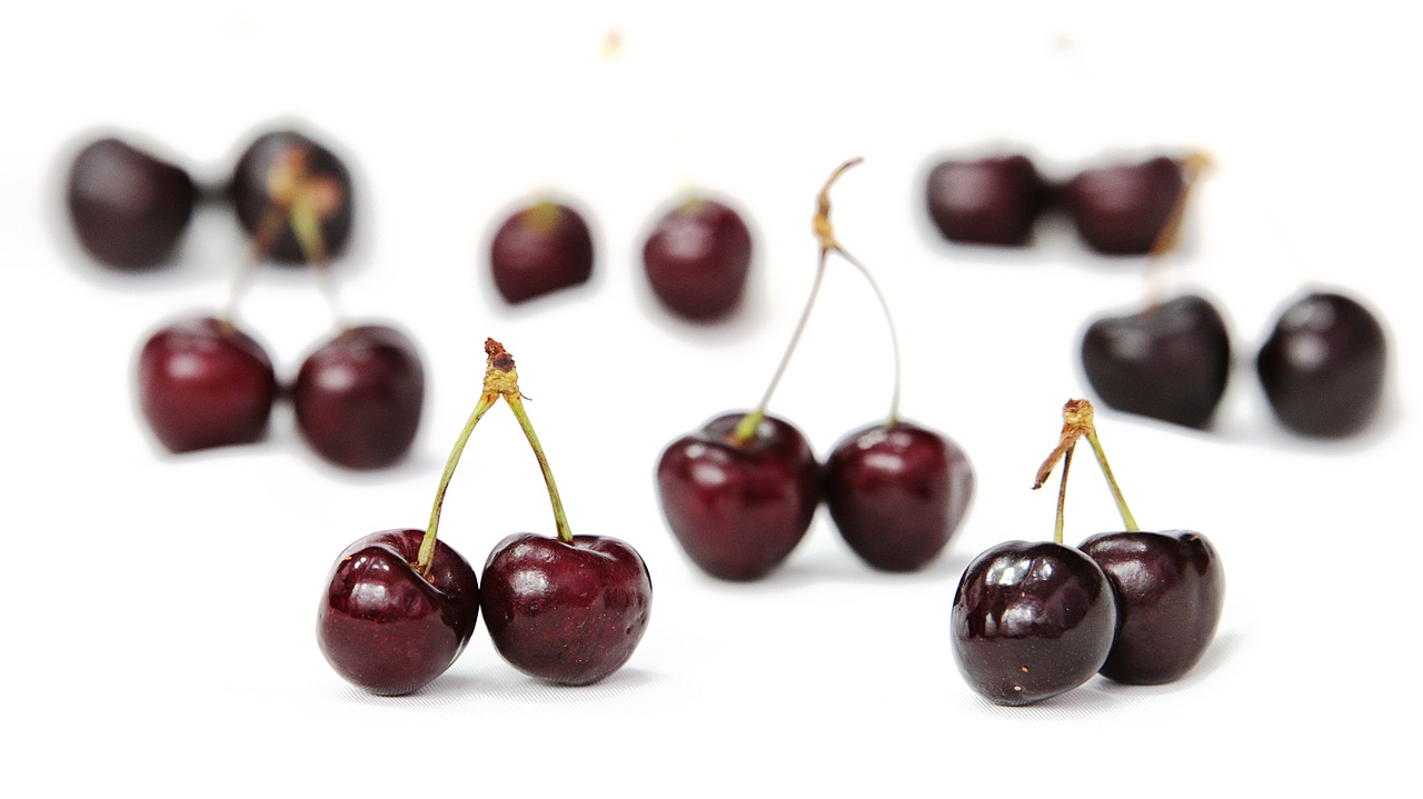 cerises, des fruits, aliments, cerises griottes, cerises aigres, tarte aux cerises, cerises naines, mûr, biologique, produire, récolter, isolé, cerises fraîches, la photographie culinaire, cerises, cerises, cerises, cerises, cerises