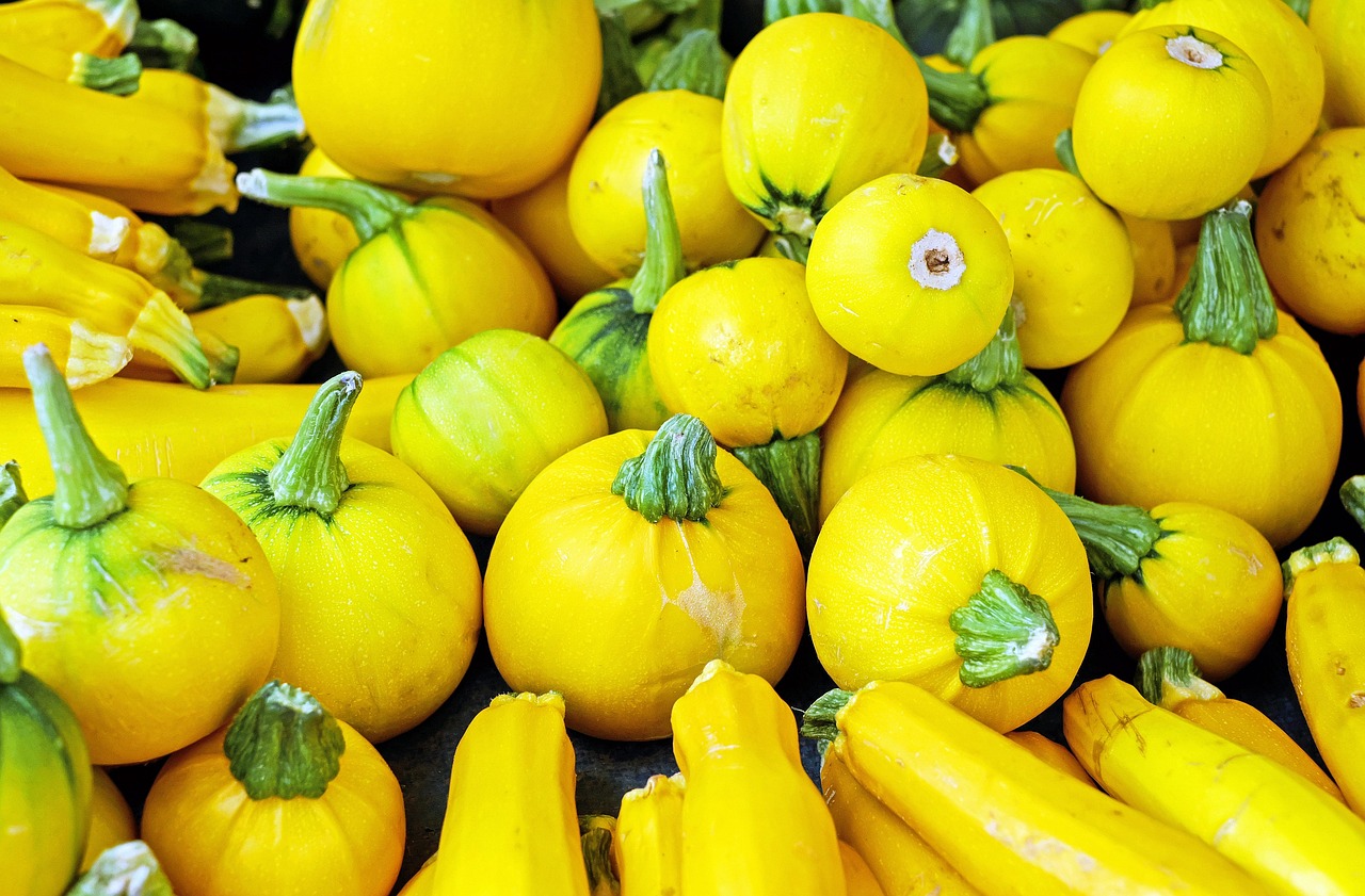 courgettes, des légumes, jaune, courgettes jaunes, frais, légumes frais, courgettes fraîches, produire, récolter, biologique, produits frais, végétarien, en bonne santé, les légumes crus, courgettes, courgettes, courgettes, courgettes, courgettes, jaune, végétarien