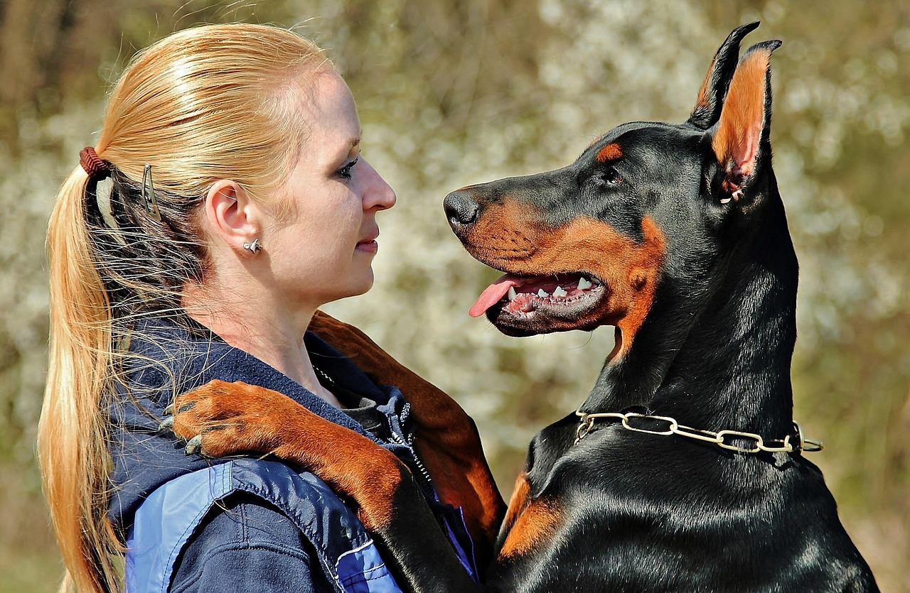 doberman, chien, animal de compagnie, animal, embrasser, amour, femme avec un chien, amitié