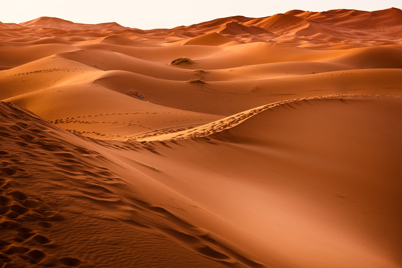 désert, dunes de sable, dunes, sec, paysage, aride, bad-lands, sable, sablonneux, nature, désert, désert, désert, désert, désert, paysage, sable