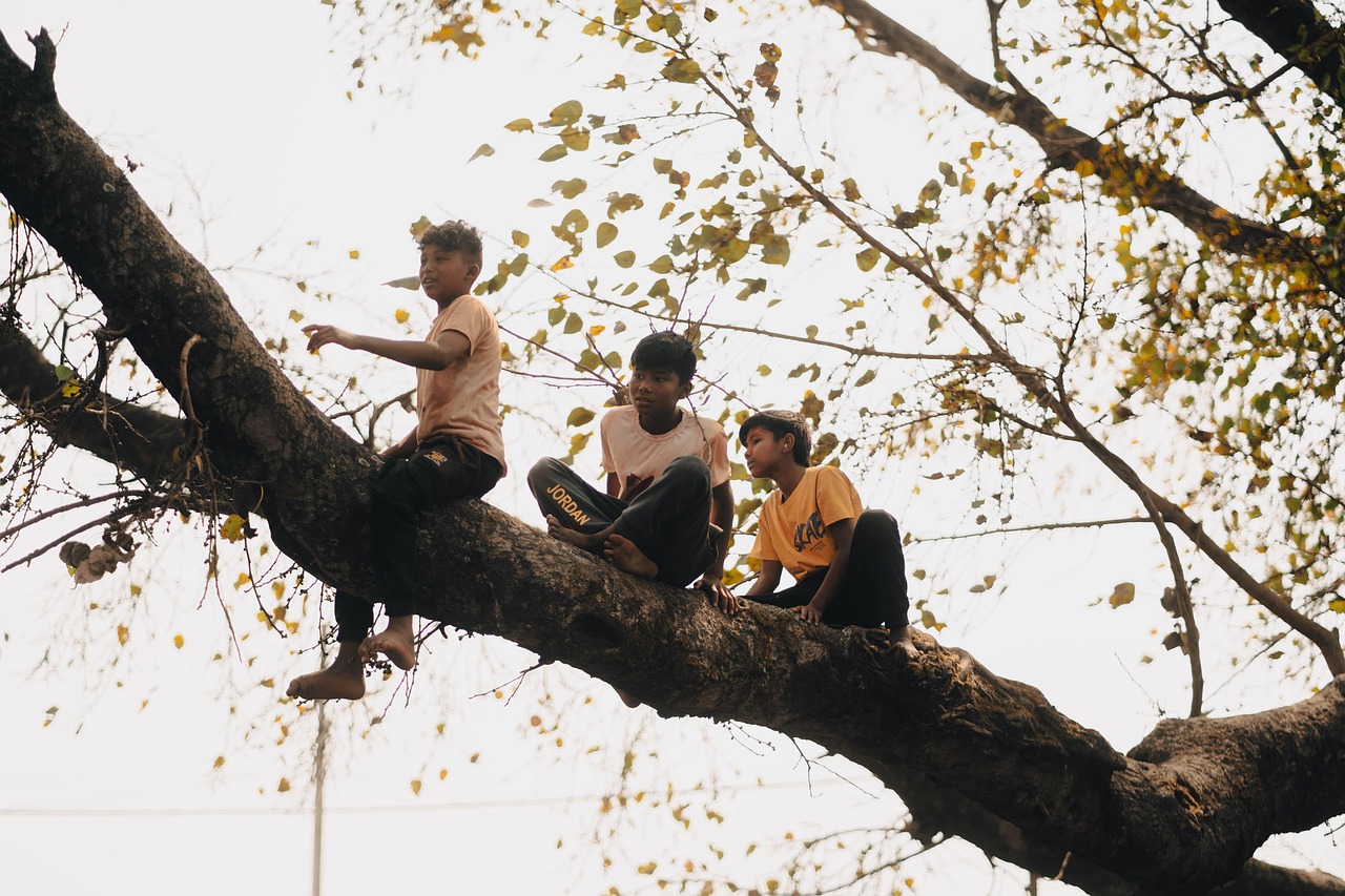 enfants, népal, arbre, cabane dans les arbres, enfant, katmandou, bhaktapur, rue, gens, asie, nature, jeune