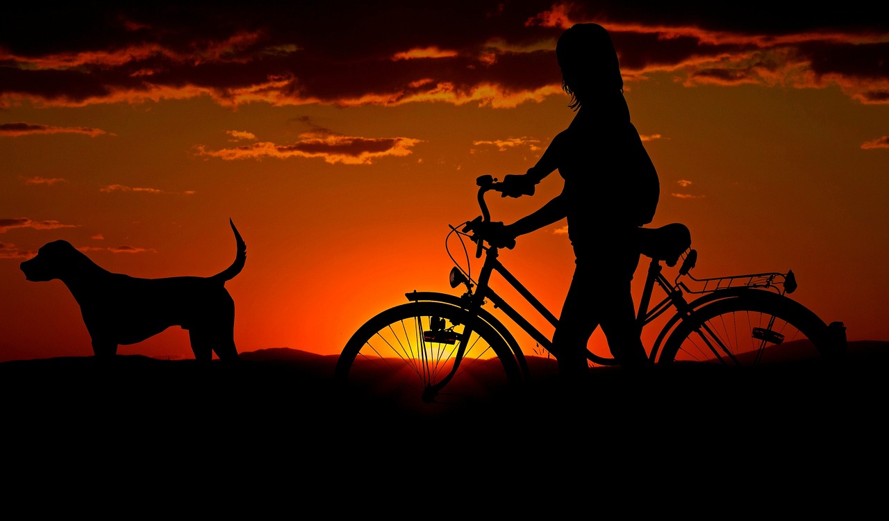 femme, bicyclette, le coucher du soleil, marcher, silhouette, fille, chien, animal de compagnie, propriétaire, voyager, crépuscule, rétro éclairage, animal, ciel orange, nature, afterglow