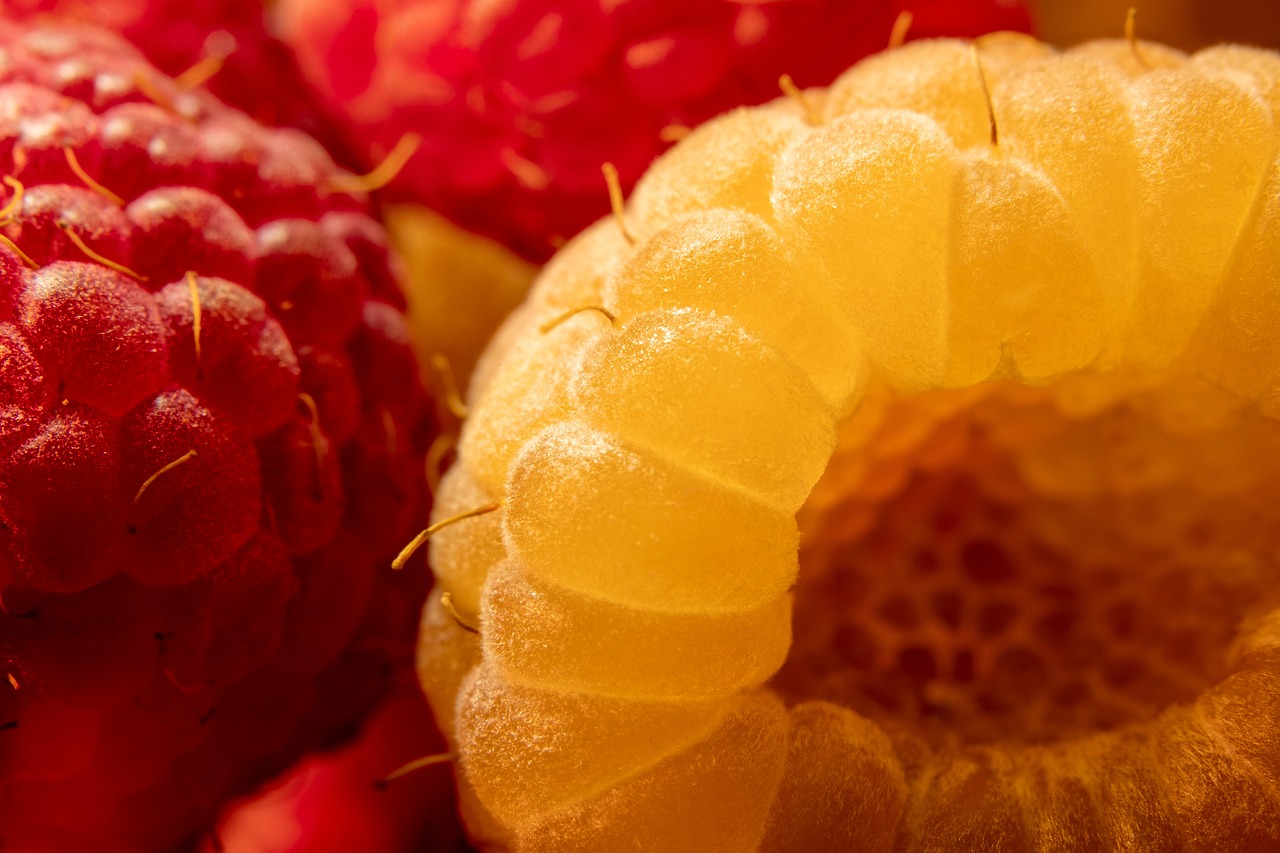 framboises, framboises jaunes, framboises rouges, des fruits, aliments, baies, le dessert, vitamines, en bonne santé, aiselu, framboise dorée à feuilles persistantes, framboise himalayenne dorée, framboise jaune himalayenne, fermer