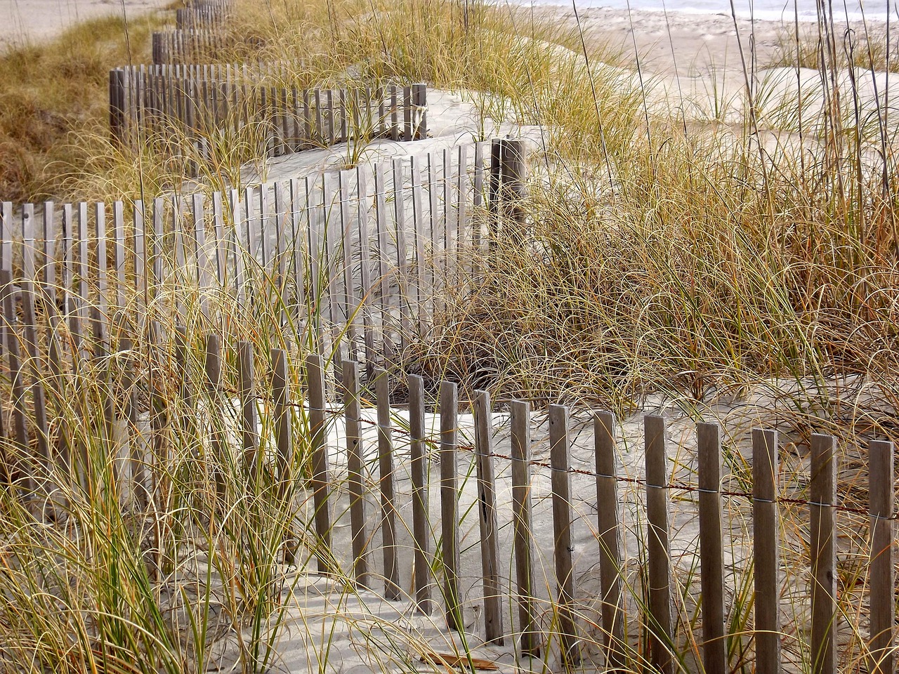 graminées, clôture, plage, sable, nature, barrière de sable, sandbreak, clôture en bois, barrière